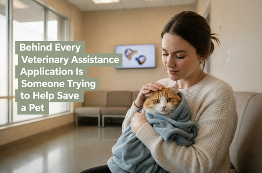 Pet owner cradling a cat in a veterinary waiting room, representing families seeking veterinary financial assistance